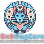 bnd logo actual